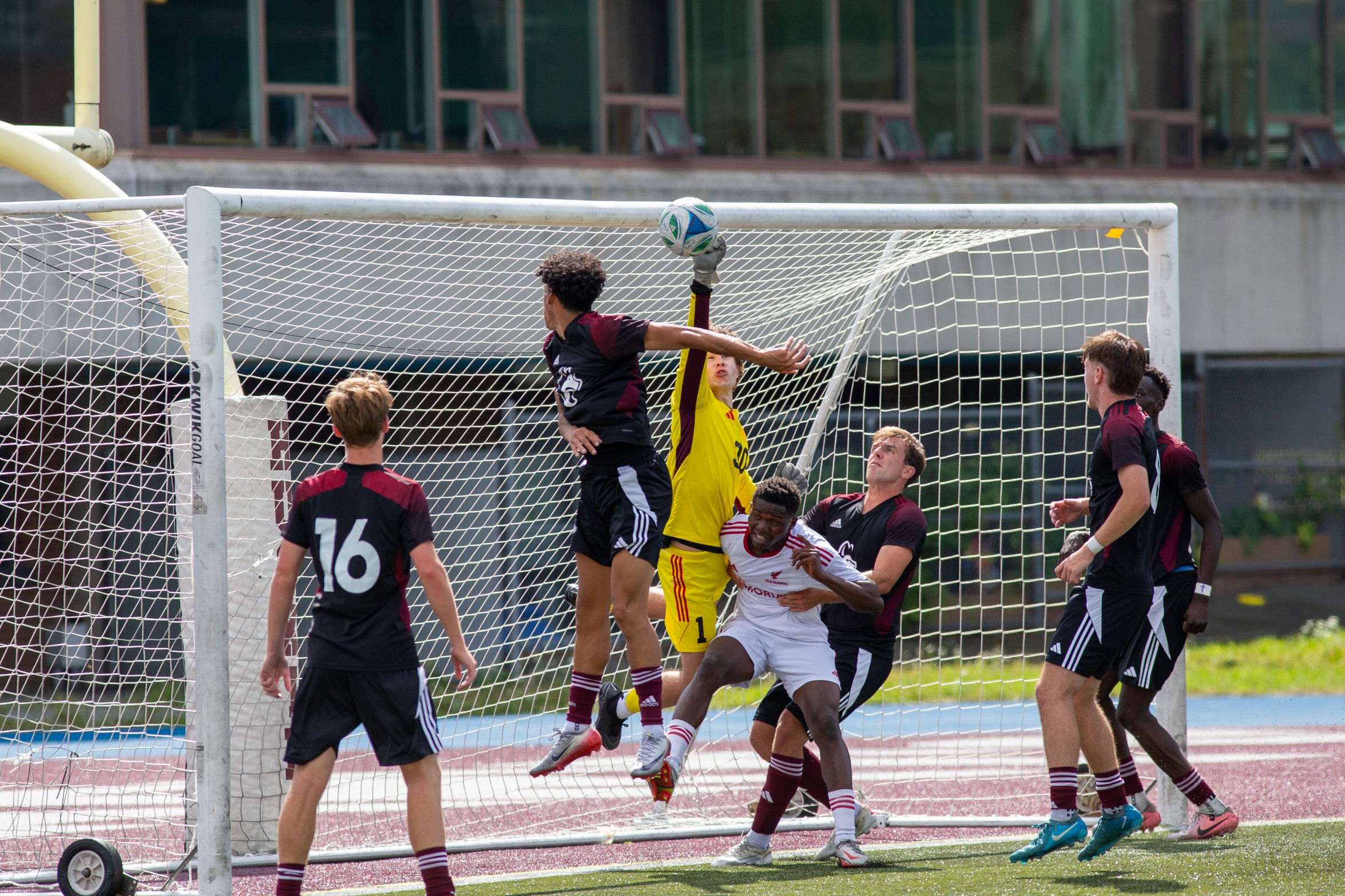 Sea-Hawks defeat Huskies 3-0